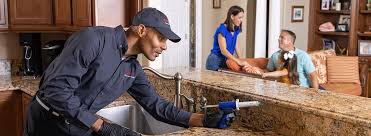 Best Real Estate Pest Inspections  in Bourbon, MO